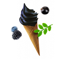 SORBETO Černé plody - černá zmrzlina