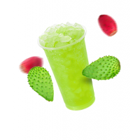 Ledová tříšť Kaktus